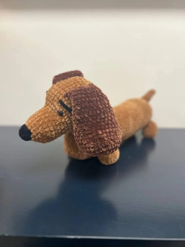 Dachshund