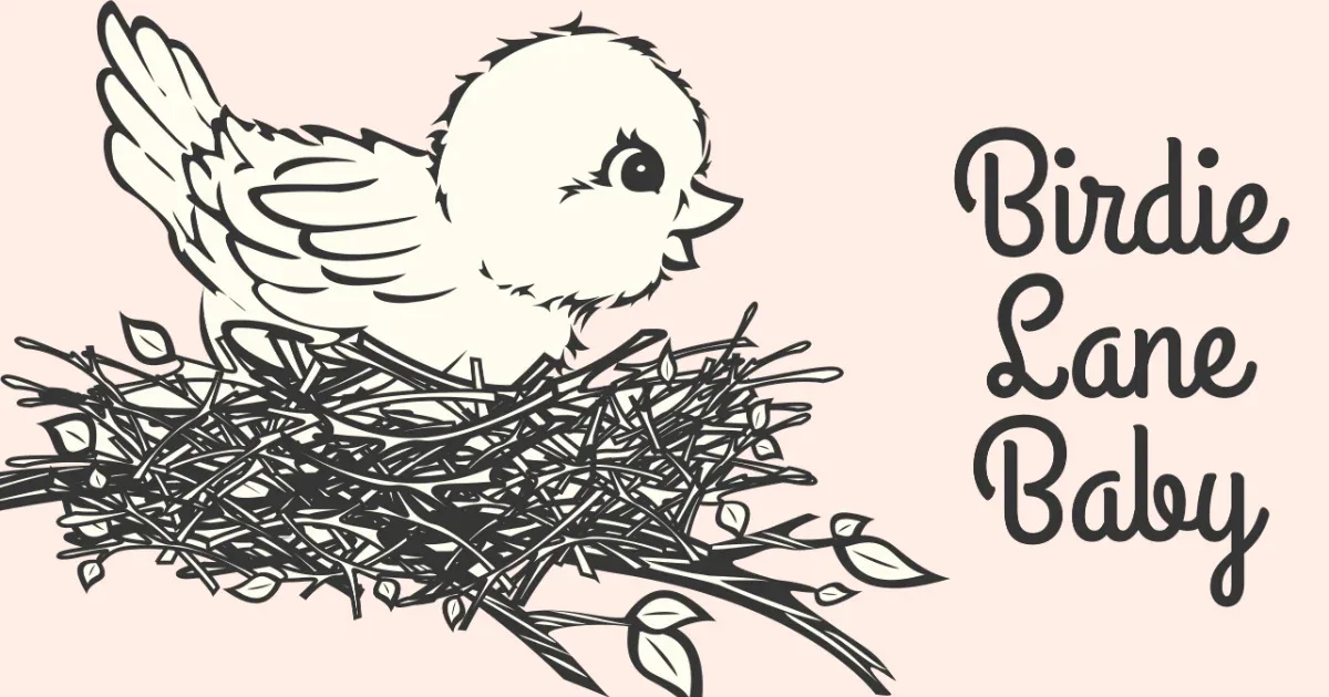 Birdie Lane Baby: a little bird in its nest