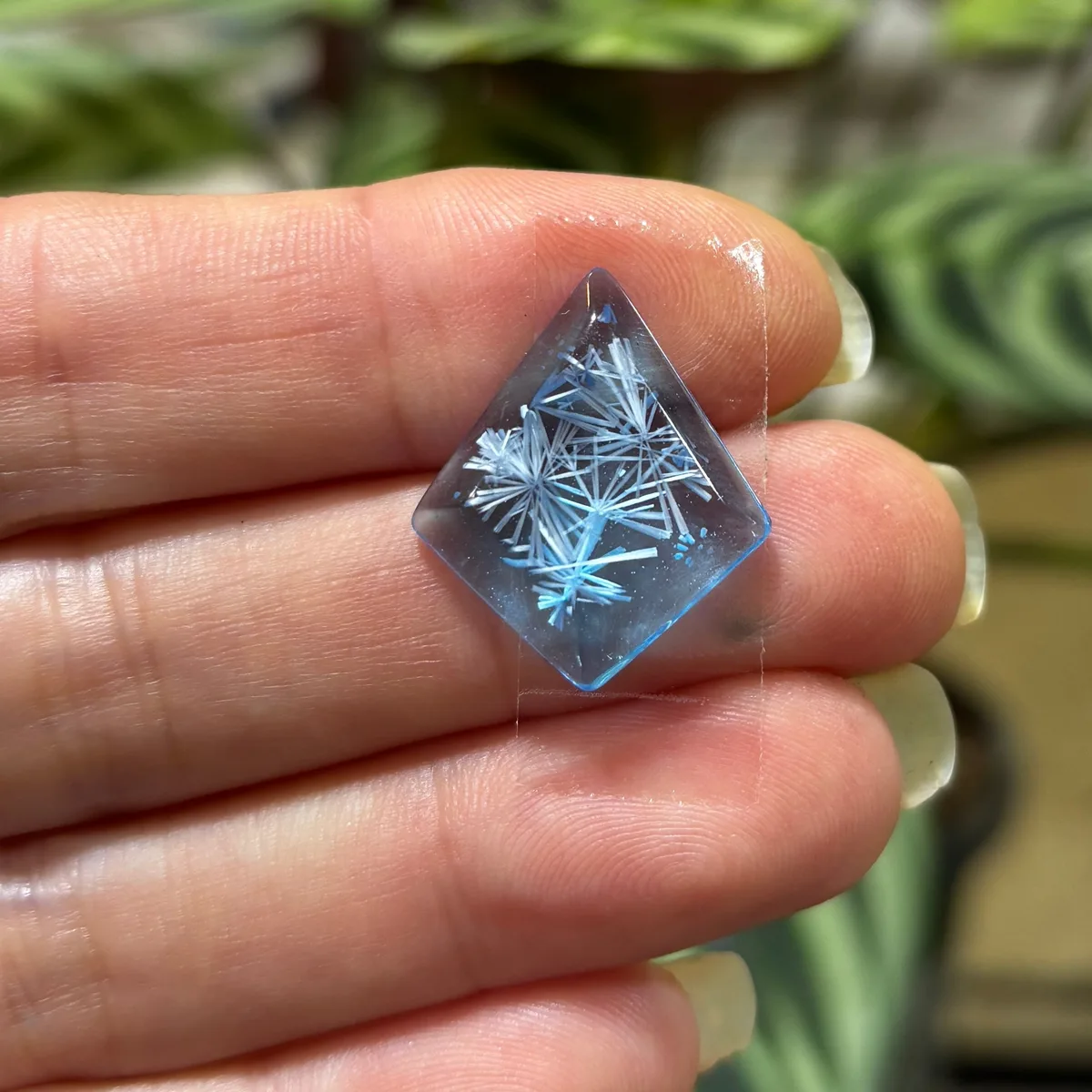 Cabochon, blue kite starburst