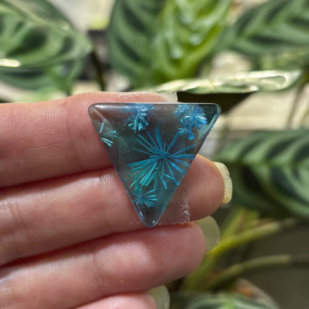 Cabochon, blue triangle starburst