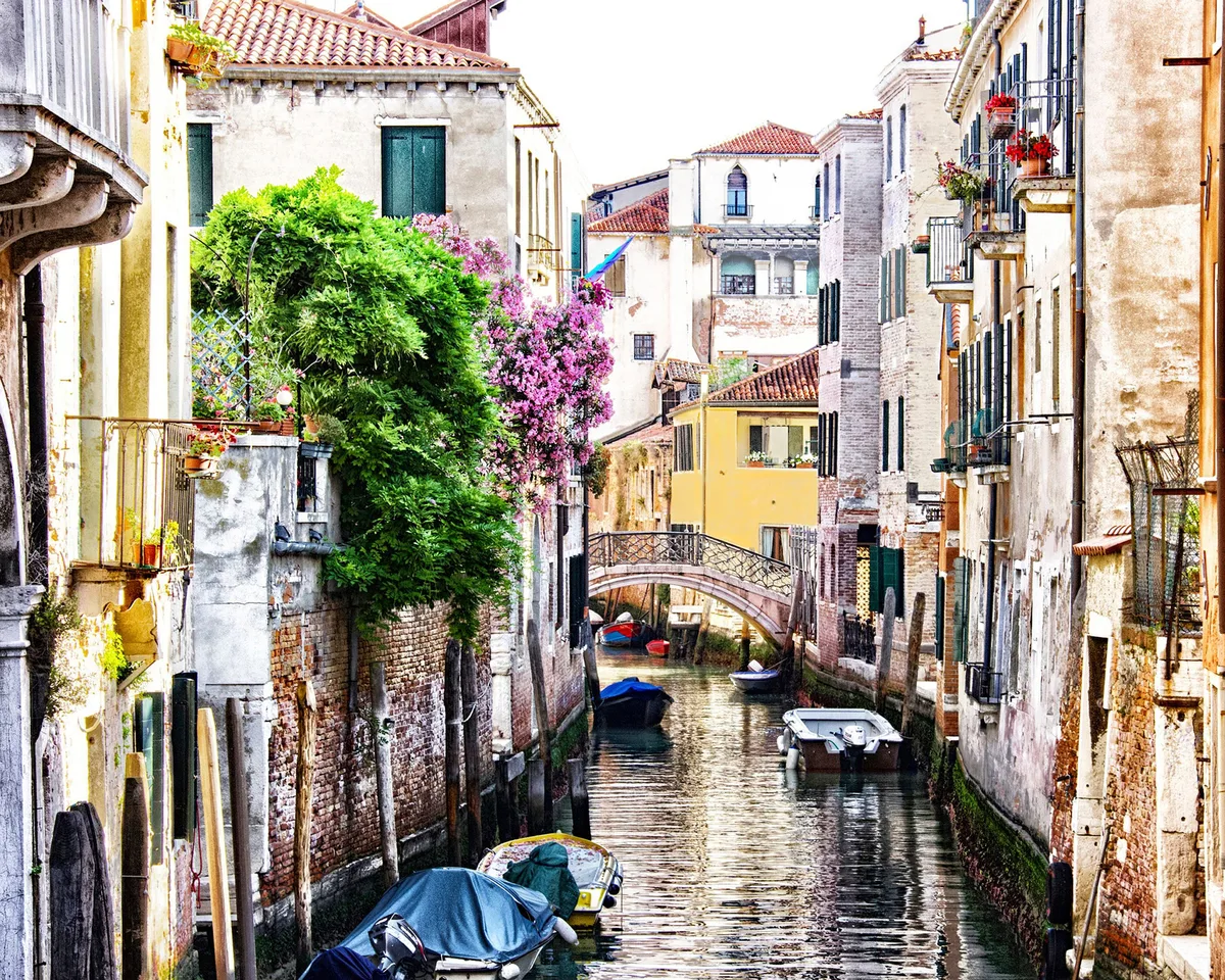 Venice in Bloom