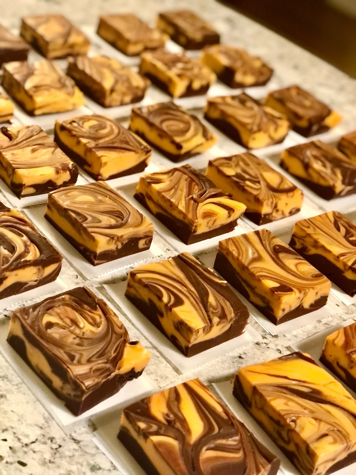 Trays of swirled fudge bricks