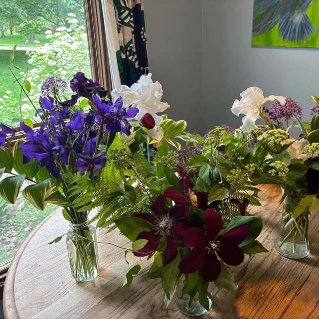 Fresh-cut dahlias