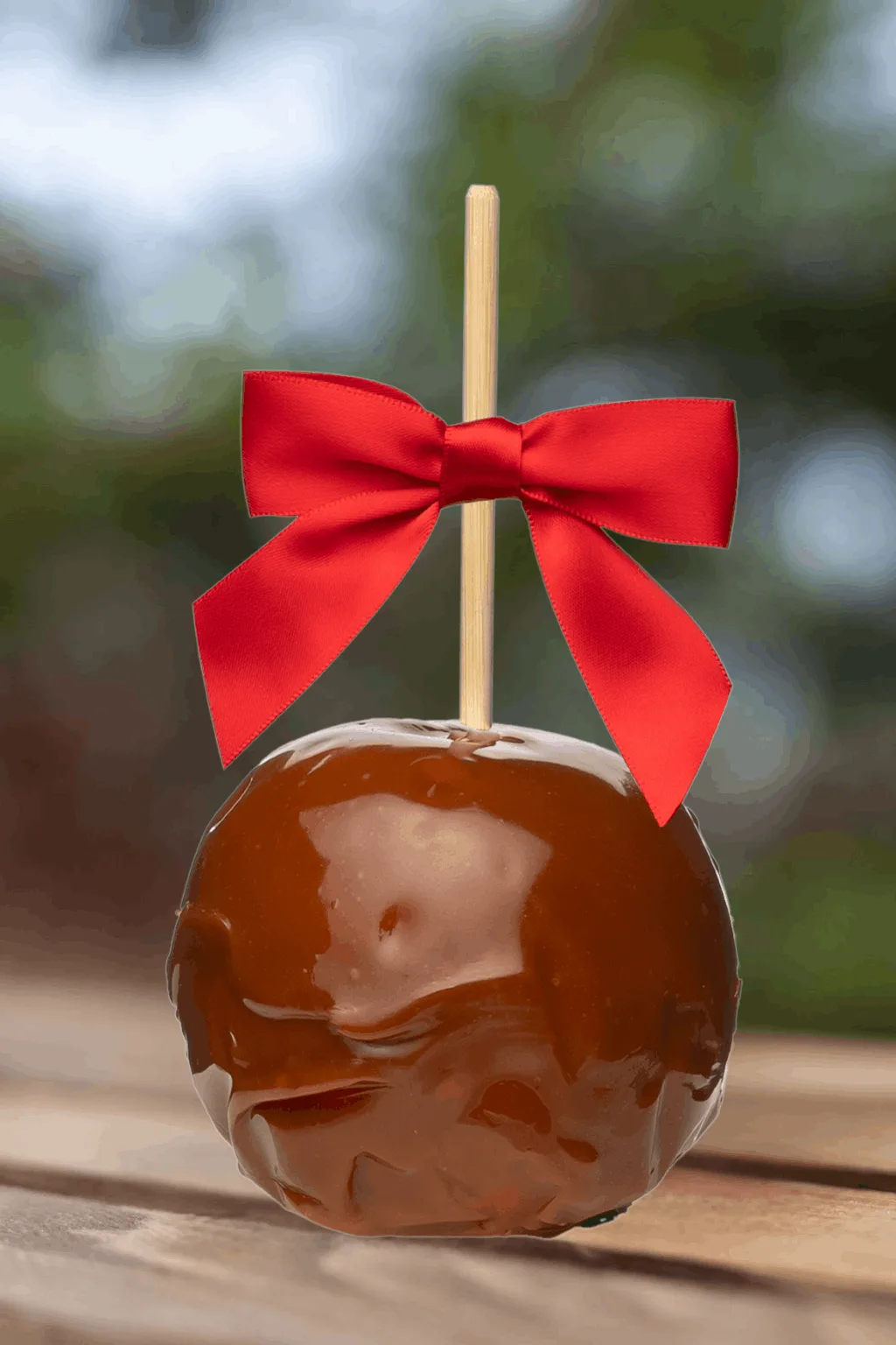 Gourmet Caramel Apple