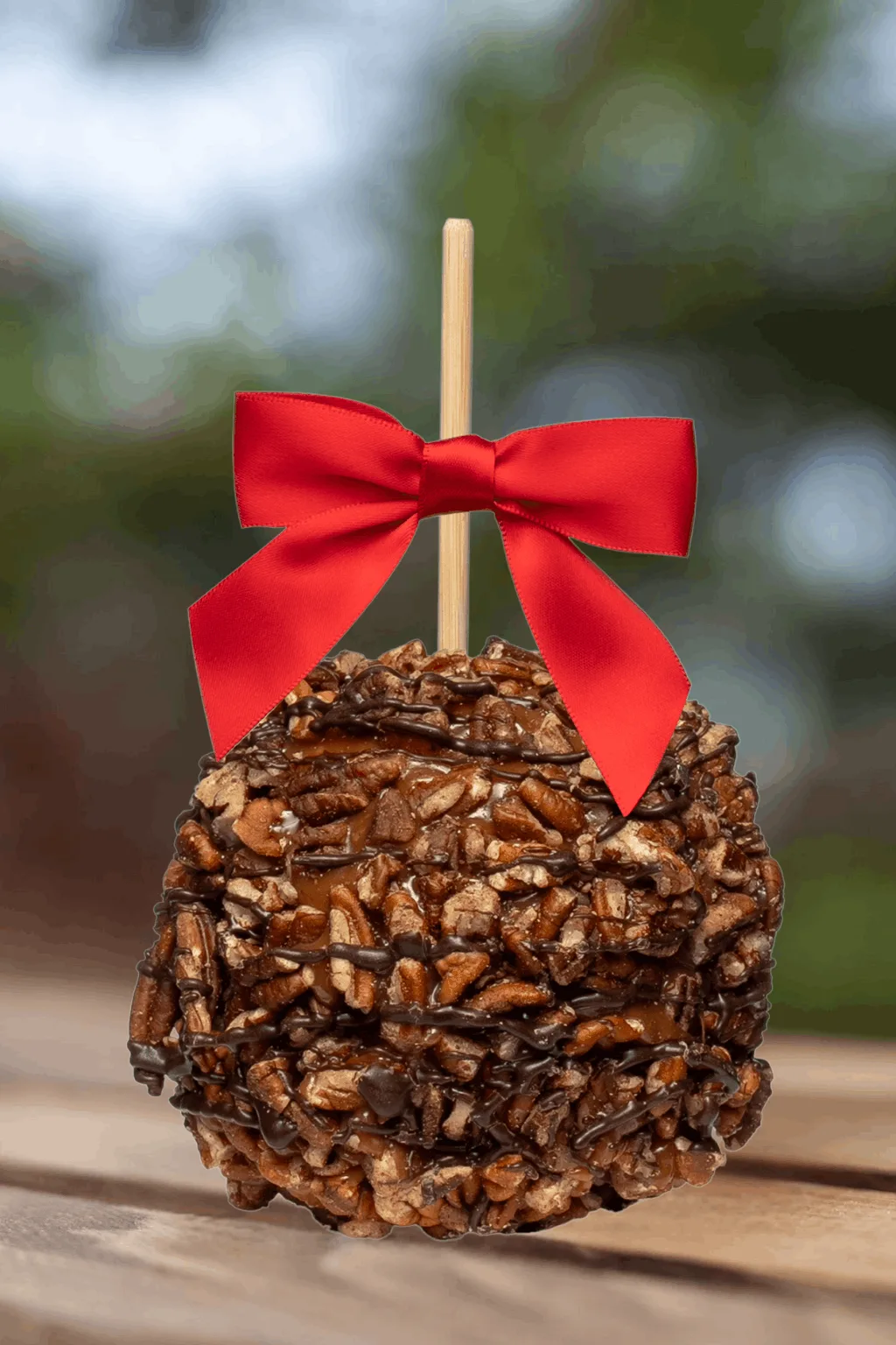 Pecans with Dark Chocolate