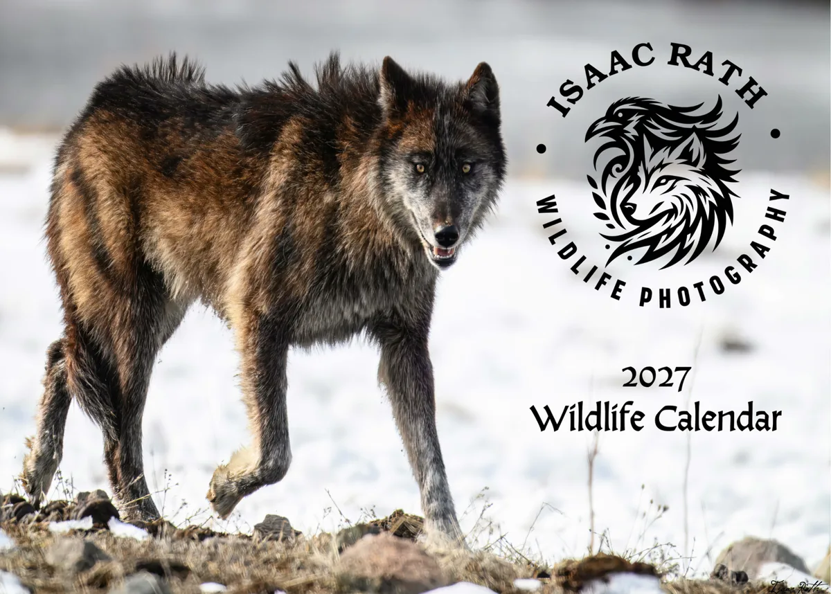 2027 wildlife calendar