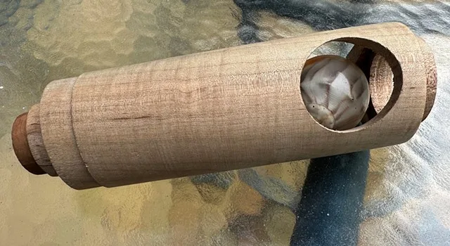 Resin ball scope