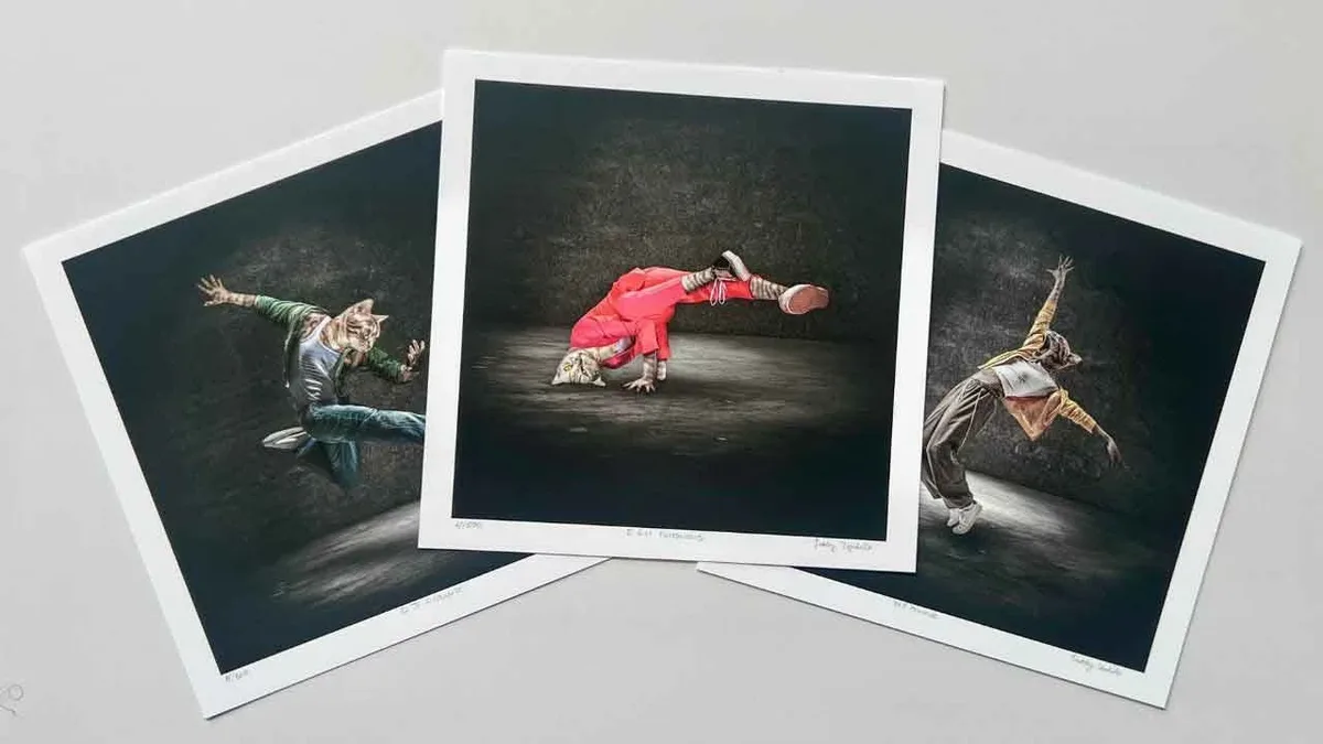 Three breakdancing cat art prints