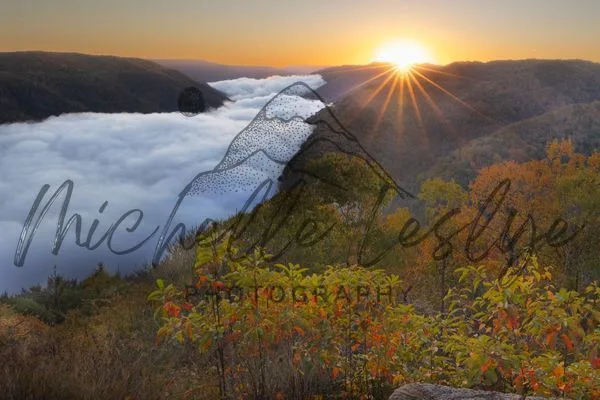 Awakening at Grand View