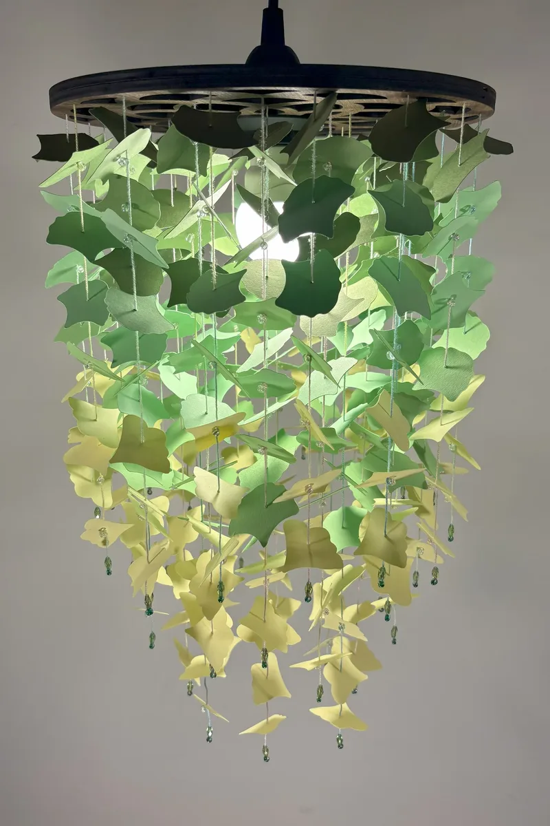 Ginkgo