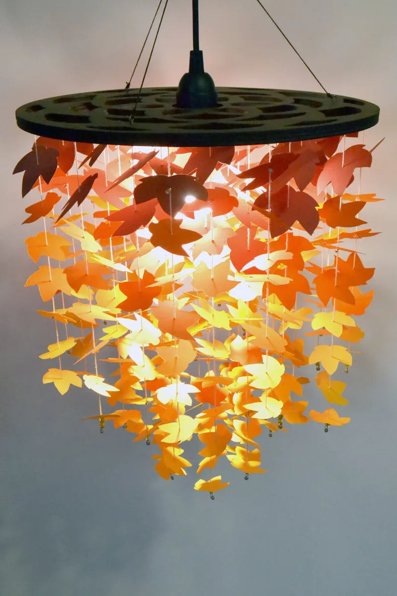 Sugar Maple