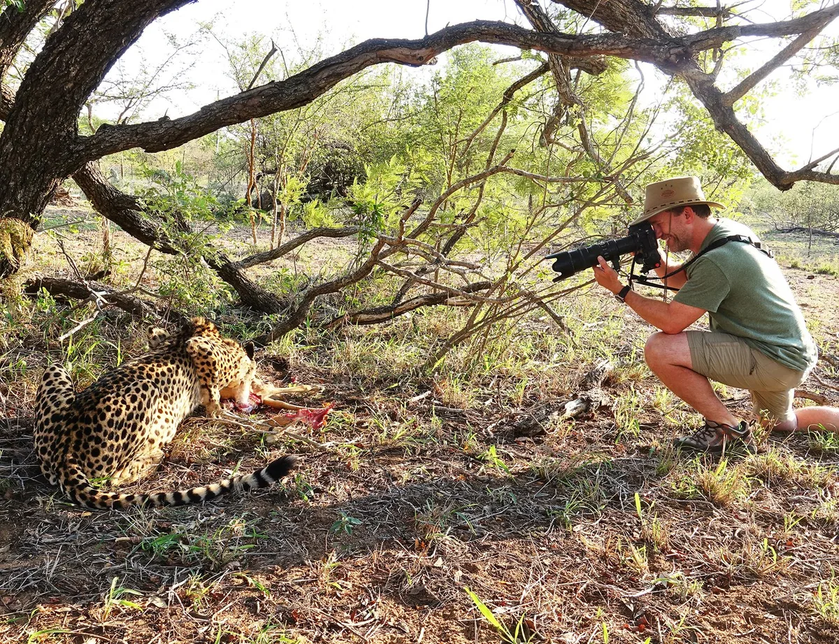 Steven photographing a cheetah up close in South Africa