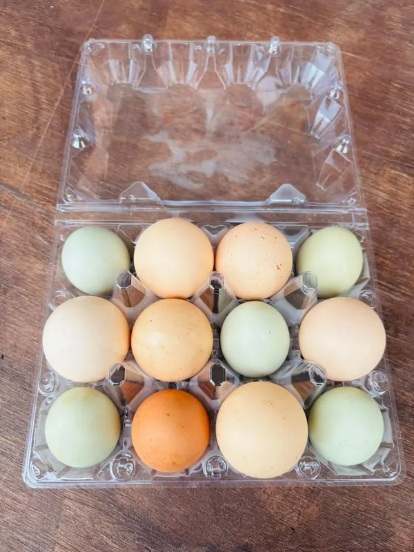 Farm eggs