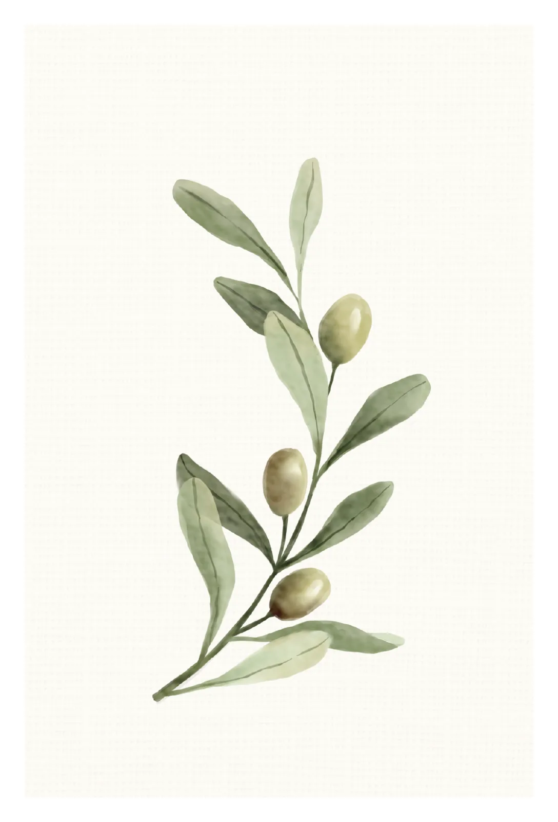Olive Branch by Minted Prints Studio